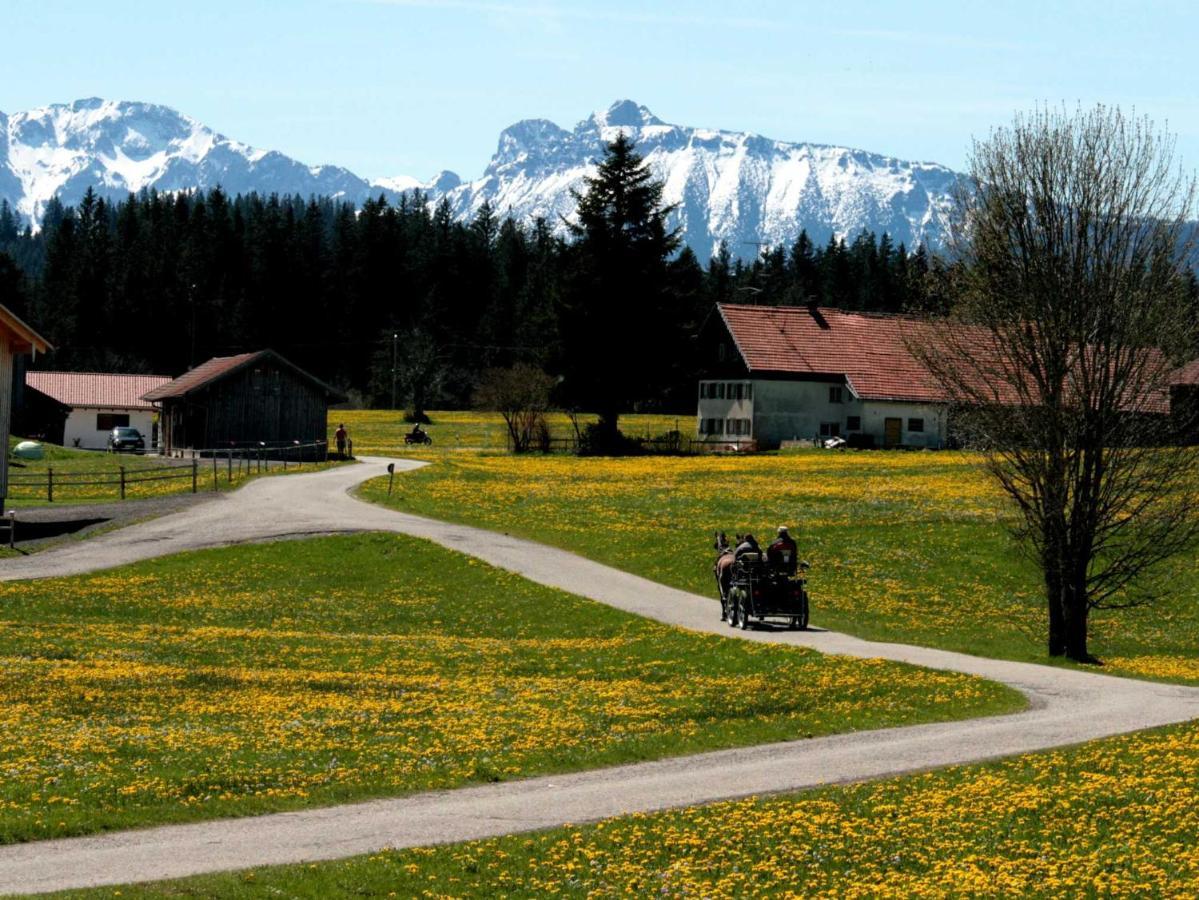 Apartament Haus Allgaeu Ruh Görisried Zewnętrze zdjęcie